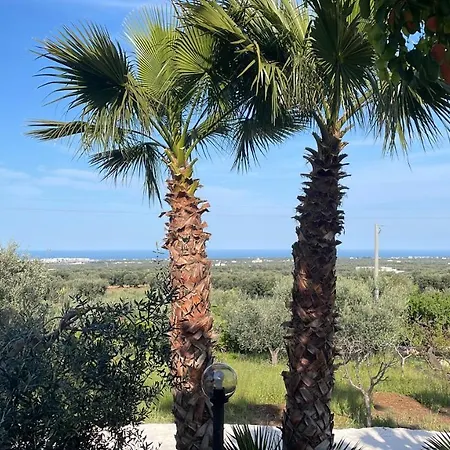 Di Angelo Apartmán Monopoli