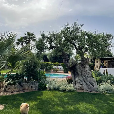 Di Angelo Apartmán Monopoli