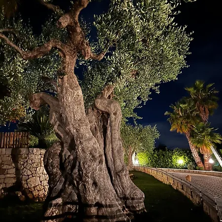 Di Angelo Διαμέρισμα Monopoli