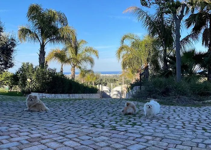 Di Angelo Apartment Monopoli