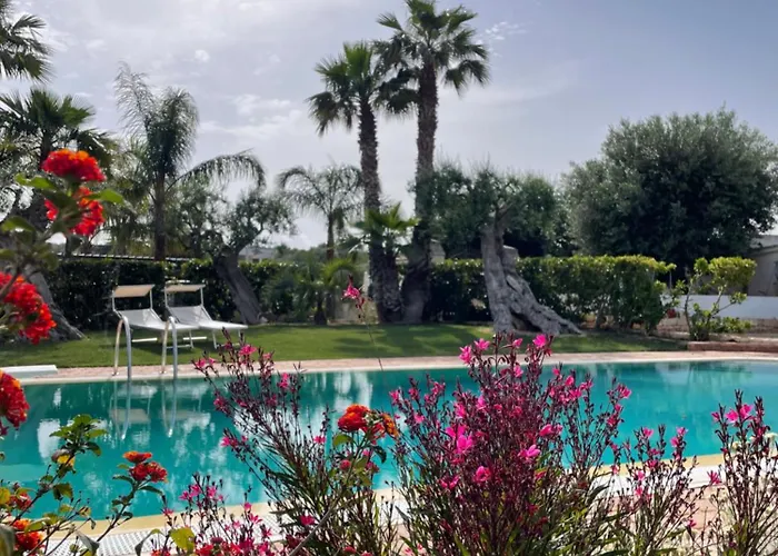 Di Angelo 莫诺波利