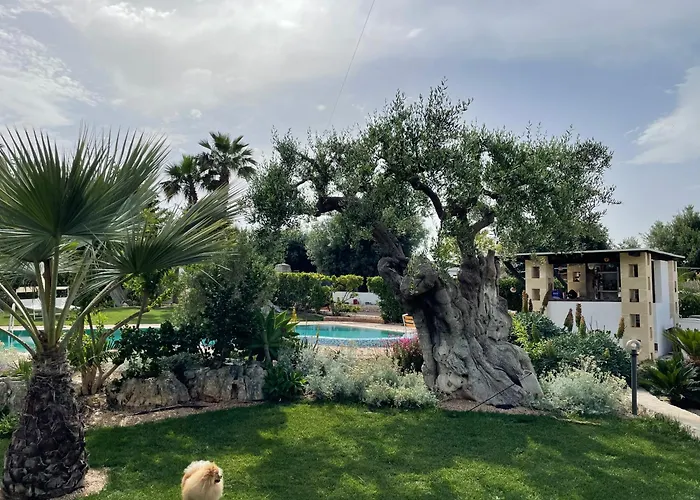 Di Angelo 公寓 莫诺波利